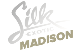 Silk Exotic Madison